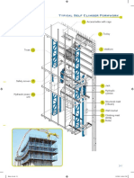 Typical Self Climber Formwork: Access Ladder With Cage