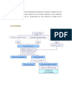 Extraccion y Caracterizacion