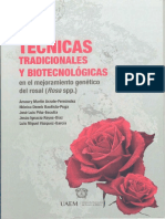 Técnicas Rosal PDF