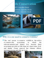 Wildlife Conservation: PPT-Anirudha Ghosh Presentation - Anirudha Ghosh Animation - Anirudha Ghosh