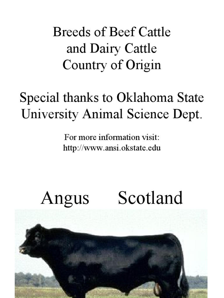 Breeds of Beef Cattle and Dairy Cattle Country of Origin Special Thanks