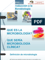 1.INTRODUCCION microbiologia-flora microbiana