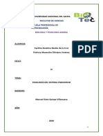 Sistema endocrino y metabolismo basal