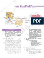 Sistema Respiratório PDF