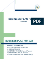 Business Plan Format: (Preliminary)