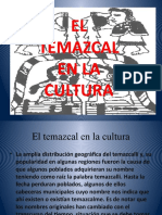 El Temazcal en La Cultura