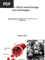 BIOEN 345: Blood Vessel Biology and Pathologies