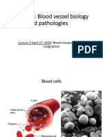 BIOEN 345: Blood Vessel Biology and Pathologies
