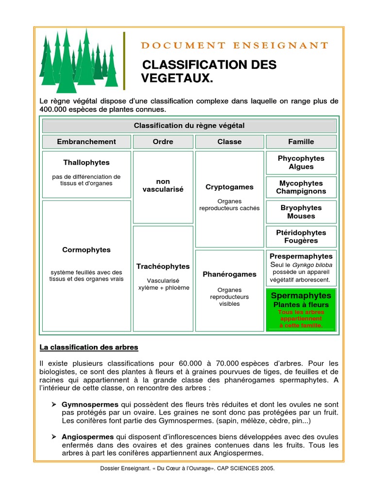 Classification Des Arbres - Cap Sciences PDF | PDF | Arbres | Plantes