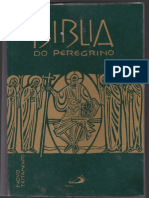 Biblia Do Peregrino Novo Testamento.pdf