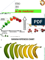 3.3 Indice de Madurez PDF