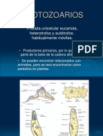 7 - Protozoarios PDF