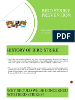 BIRD STRIKE PREVENTION