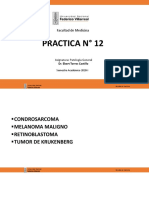 PG-Práctica 12-UNFV PDF