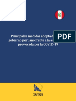 Principales-medidas-adoptadas-por-el-gobierno-peruano-1.pdf