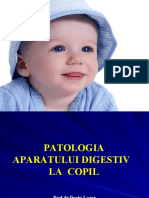 Cursul nr. 1 Patologia aparatului digestiv. Esofagite. BRGE