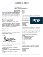 Digestión y Respiración en Animales