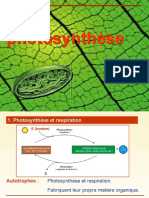 Photosynthese Pascal