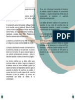 5 Bioluminiscencia PDF