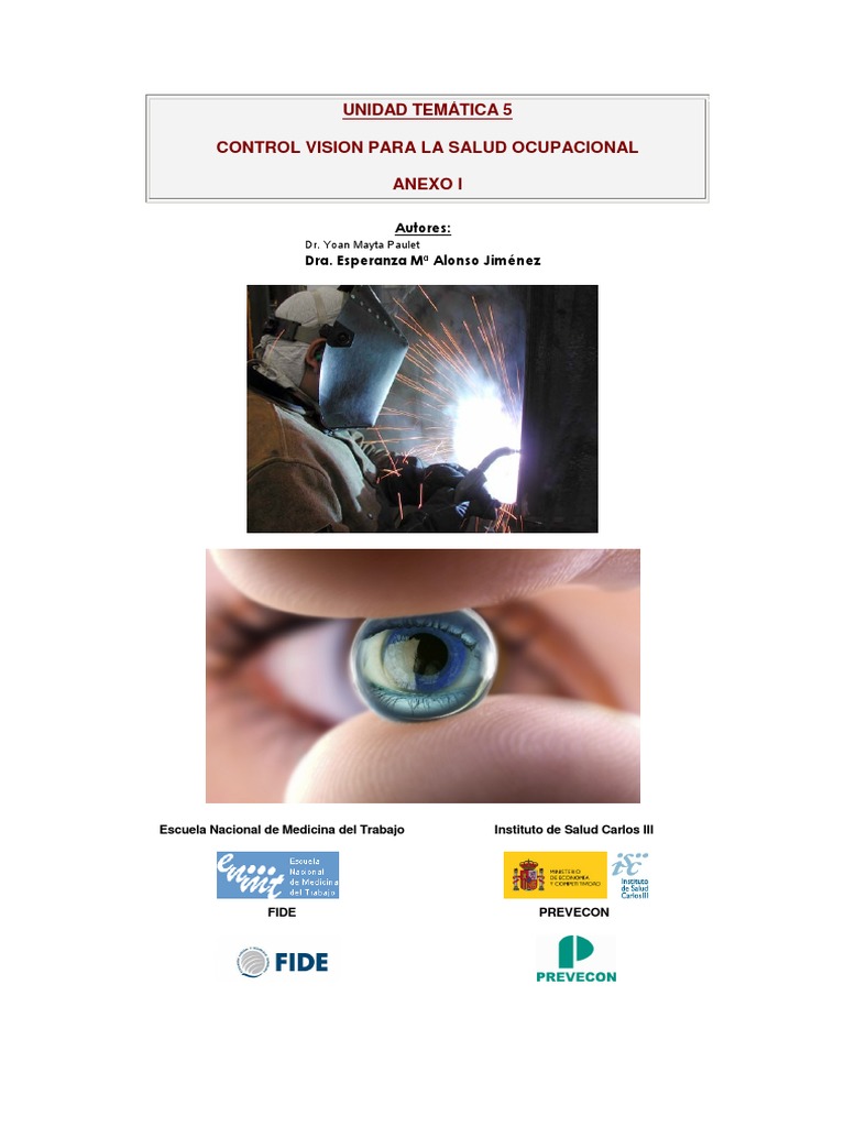 Control Vision para La Salud Ocupacional I PDF | PDF | Lentes | Agudeza ...