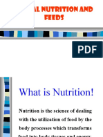 Animal Nutrition and Feeds: The Six Key Nutrients for Animal Growth and Production