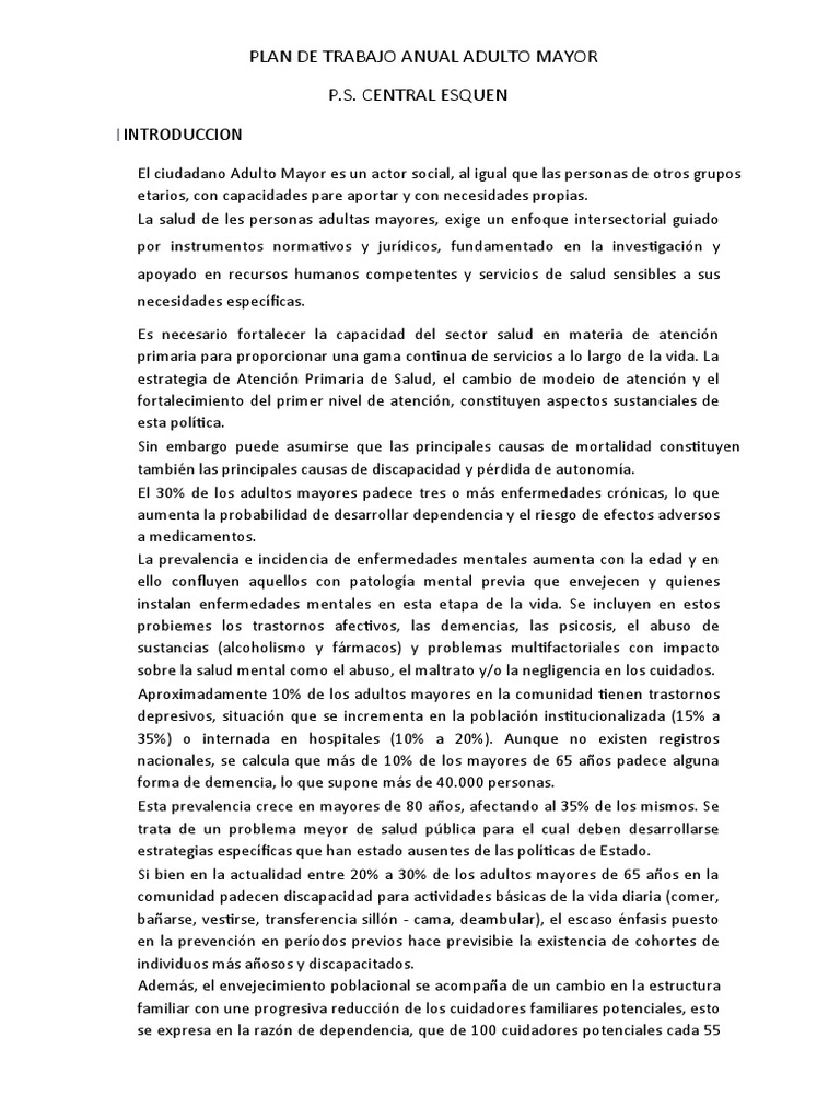 Plan Anual de Atención Adulto Mayor | PDF | Adultos | Vejez