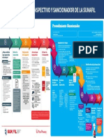 PROCESO INSPECTIVO SUNAFIL.pdf