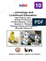Tle10 - Afa - Animalprodpoultry - q2 - Mod3 - Placingchicks - Pulletsinbrooderhouse (1) - v3 (42 Pages)