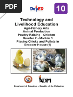 Tle10 - Afa - Animalprodpoultry - q2 - Mod3 - Placingchicks - Pulletsinbrooderhouse (1) - v3 (42 Pages)