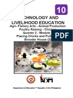 Tle10 - Afa - Animalprodpoultry - q2 - Mod4 - Placingchicks - Pulletsinbrooderhouse (2) - v3 (33 Pages)