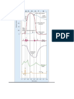 cardiac cycle