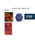 Biology Investigatory Project Viral Diseases - Removed PDF