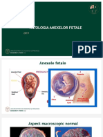 5.anexe_fetale_patologie