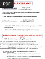 LP3 - PAGE, LINKAGE SI AP OMULUI MODERN