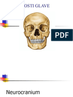 1 Neurokranij, Basis Cranii