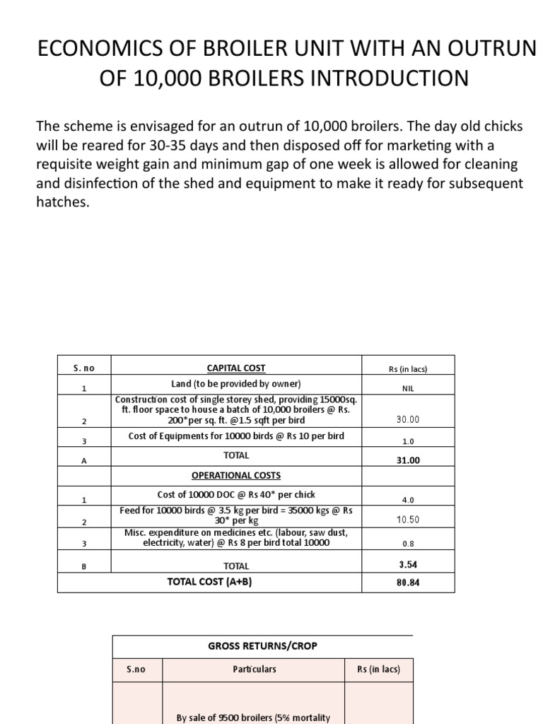 Broiler Farm Business Plan for Raising 10,000 Broilers Over One Year