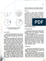 Omsk PDF