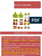 Marcarea Animalelor Domestice