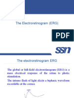 The Electroretinogram (ERG)