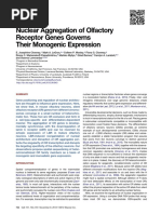 Nuclear Aggregation of Olfactory Receptor Genes Governs Their Monogenic Expression