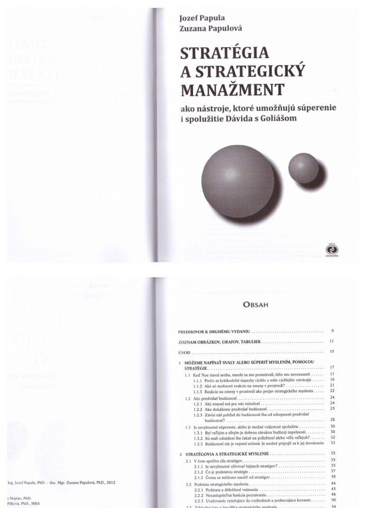 Papula - Strategický-Manažment | PDF