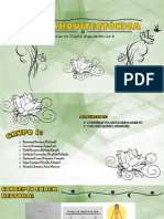CRITICA 2- MEDITACION.pdf