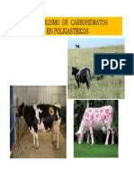 met-chos-rumiantes-2012-ii-modo-de-compatibilidad.pdf