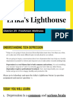 Erika's Lighthouse: District 211-Freshmen Wellness