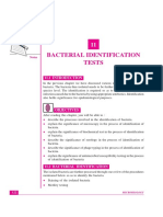 BACTERIAL IDENTIFICATION.pdf