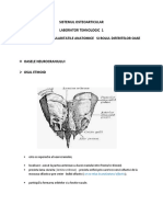 LT 1 - Sistemul Osteoarticular PDF