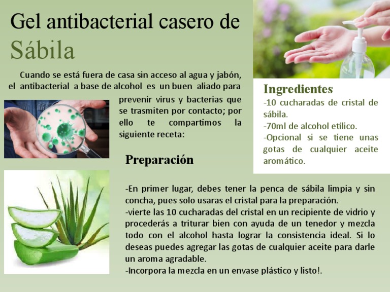 Sábila: Ingredientes | PDF