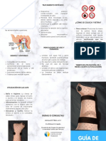 Guía de Uso Cock Up PDF