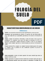 MORFOLOGÍA DEL SUELO.pdf