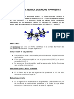 Estructura Quimica de Lipidos y Proteinas